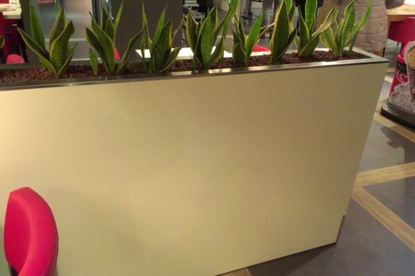 Witte_afscheidingswand_winkel_met_planten
